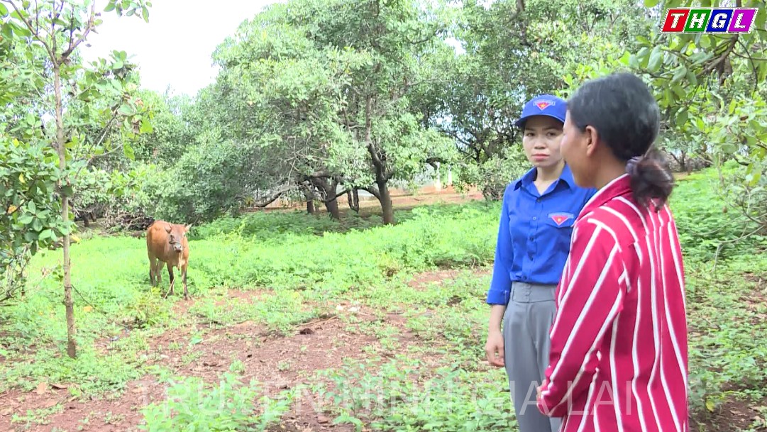 Năm 2022, huyện Ia Grai có trên 500 hộ thoát nghèo