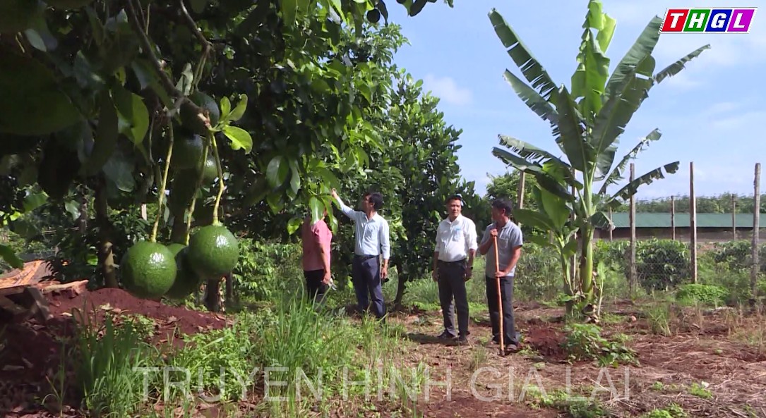 Đồng bào Công giáo đồng hành cùng dân tộc