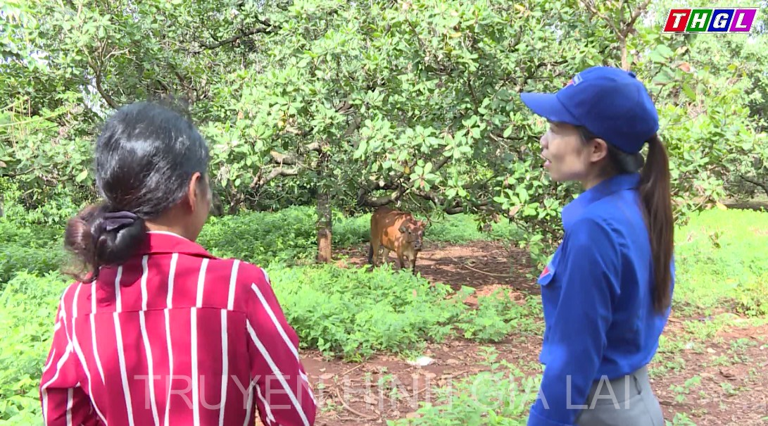 Ia Grai huy động các nguồn lực cho công tác giảm nghèo