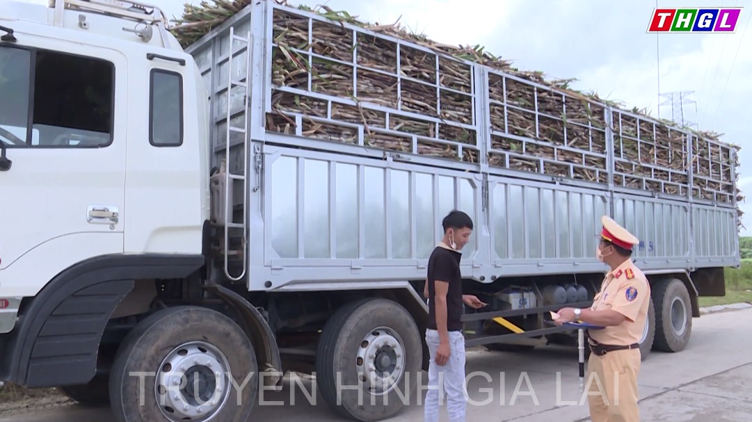 Đẩy mạnh tuyên truyền, cho lái xe ký cam kết chấp hành nghiêm tải trọng khi vận chuyển mía