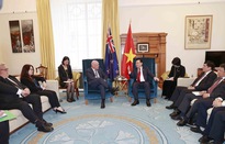 Thúc đẩy hợp tác Việt Nam – New Zealand