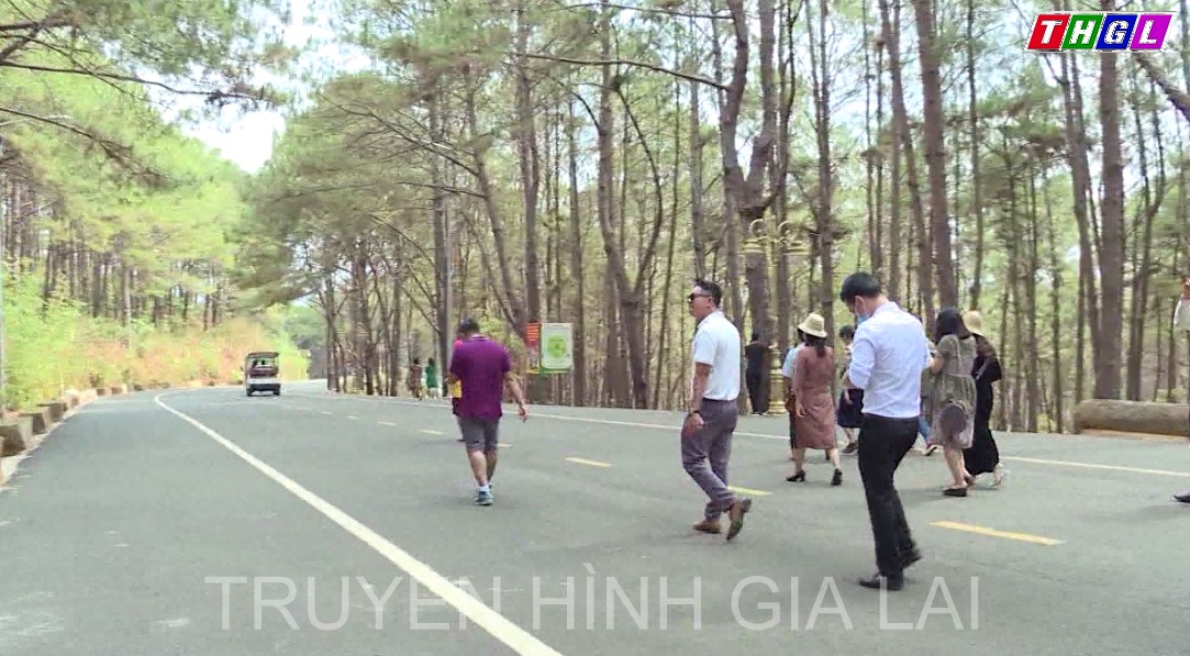 Gia Lai chú trọng đăng ký bảo hộ tài sản trí tuệ cho sản phẩm dịch vụ có lợi thế của tỉnh