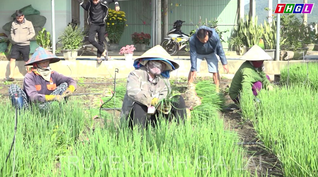 Khí thế ra quân sản xuất đầu năm của bà con nông dân