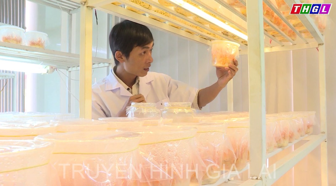  Giai đoạn 2021-2025, tỉnh Gia Lai triển khai 04 dự án đầu tư công trong lĩnh vực   Khoa học và Công nghệ