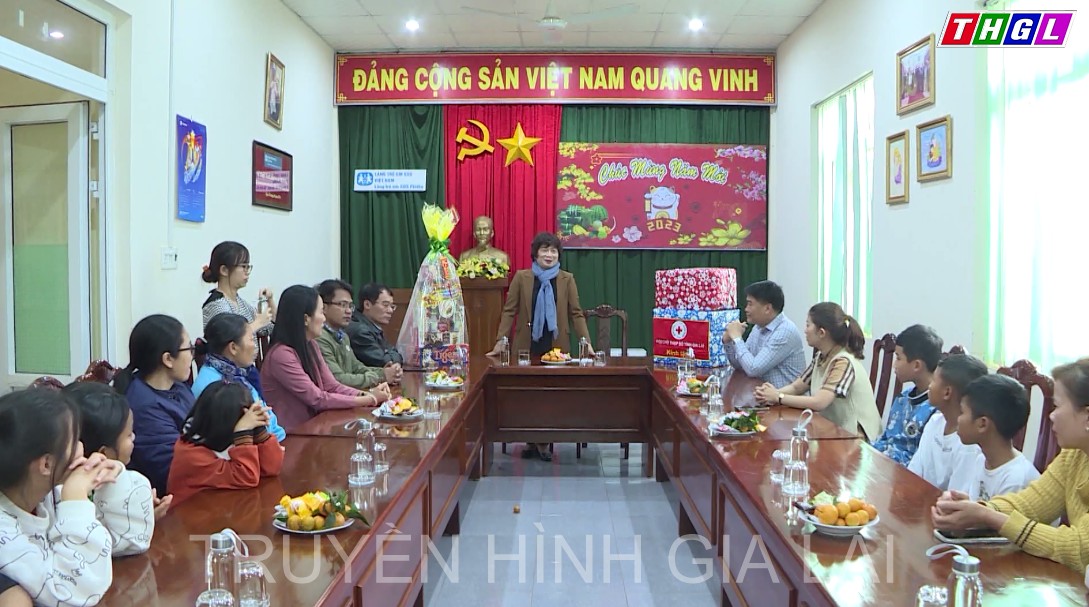 Đoàn lãnh đạo tỉnh do Đồng chí Phạm Thị Tố Hải -Ủy viên BTV Tỉnh ủy, Bí thư Đảng bộ khối các cơ quan và Doanh nghiệp tỉnh dẫn đầu, thăm và tặng quà nhân dịp Tết Nguyên đán Quý Mão