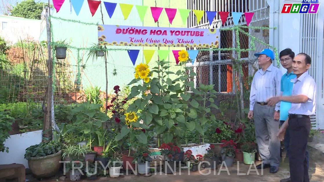  Sắc Xuân trong con hẻm 80