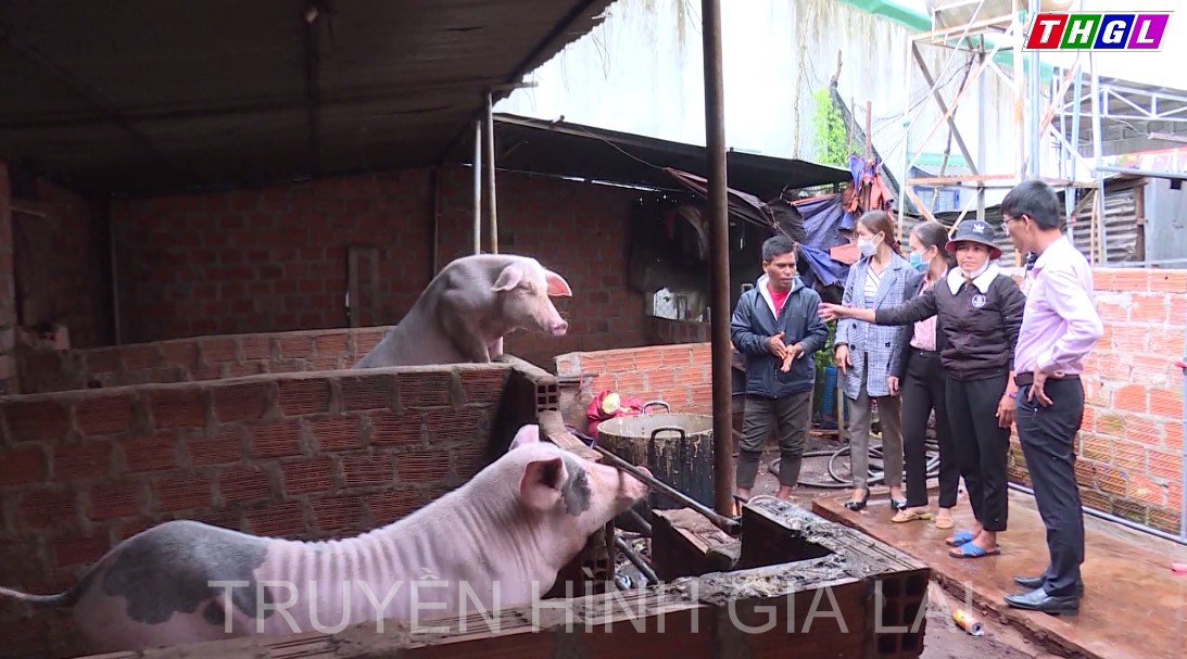 Tăng cường hỗ trợ vốn vay cho hội viên nông dân