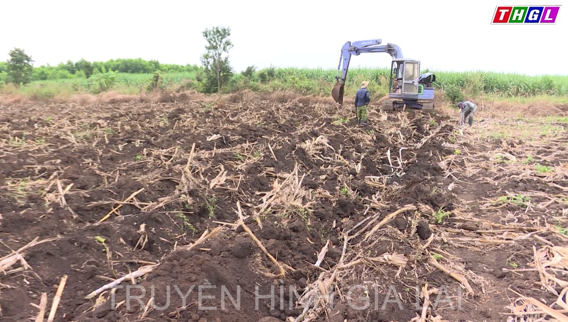 Diện mạo vùng nông thôn mới Hbông