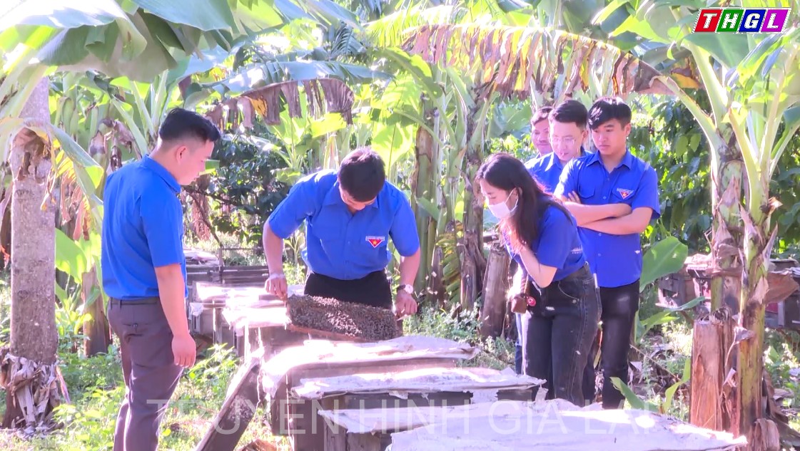 Thanh niên Lê Văn Đức tích cực xây dựng thương hiệu OCOP