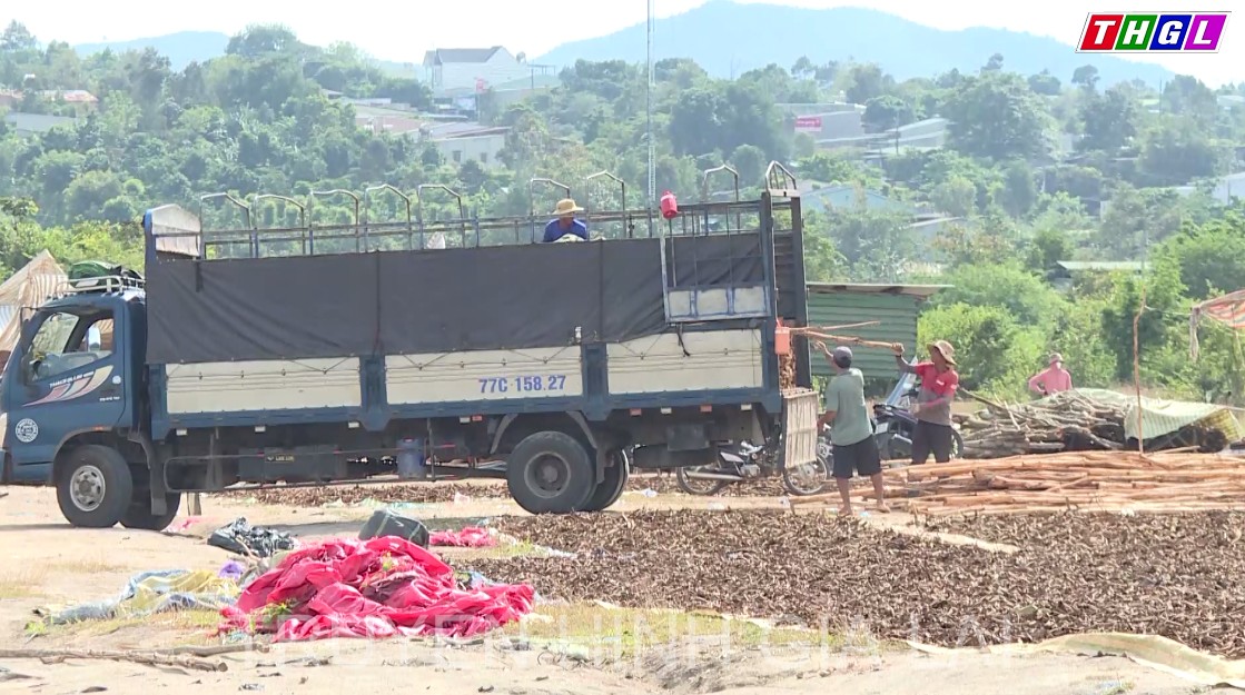 Lấp đầy diện tích các nhà đầu tư Cụm công nghiệp – tiểu thủ công nghiệp huyện Chư Pah