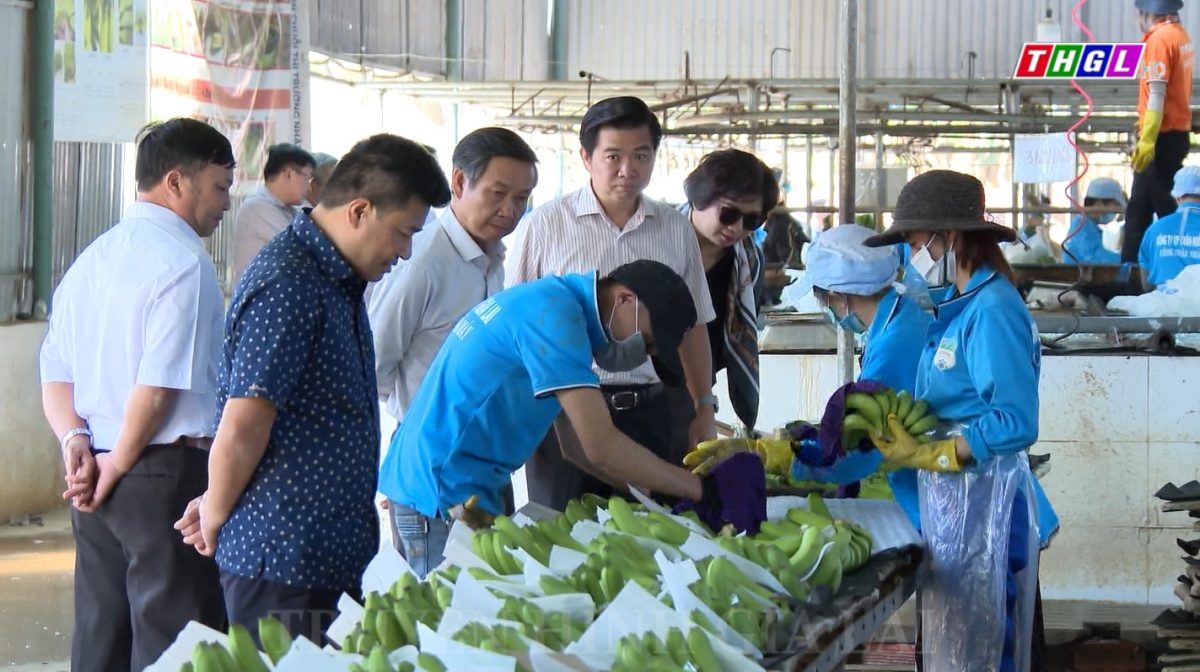 Đảng ủy Khối các cơ quan và doanh nghiệp tỉnh khởi động Chương trình  “Đồng hành cùng doanh nghiệp”