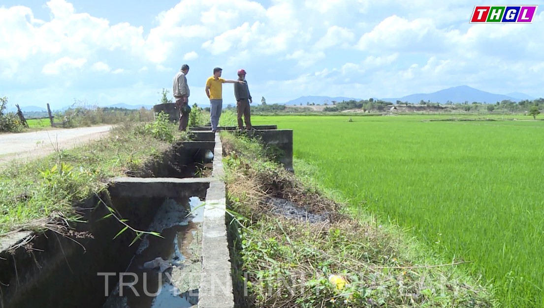Krông Pa chủ động triển khai các giải pháp phòng, chống hạn cho cây trồng
