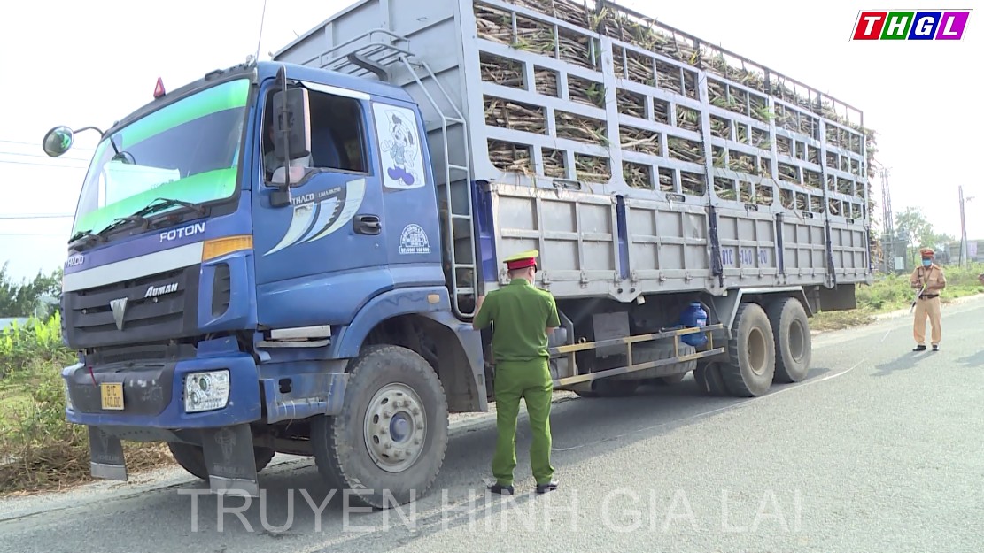 Tín hiệu tích cực trong việc chấp hành tải trọng khi vận chuyển mía