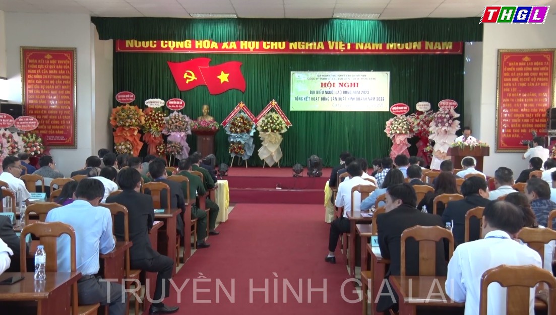 Cao su Mang Yang tổng kết sản xuất kinh doanh năm 2022 và triển khai nhiệm vụ năm 2023