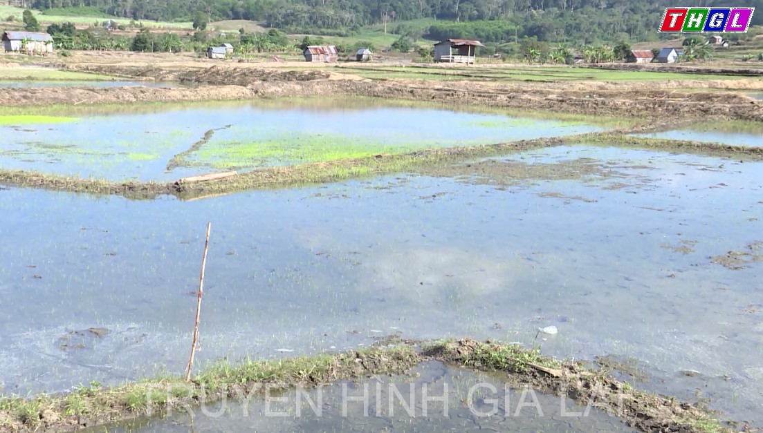 Kbang đạt 4/9 tiêu chí huyện nông thôn mới