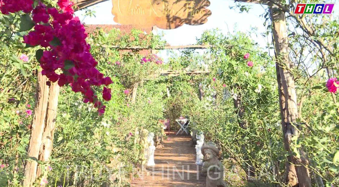 Khu vườn rực rỡ sắc hoa của chị Võ Thị Hồng Hạnh