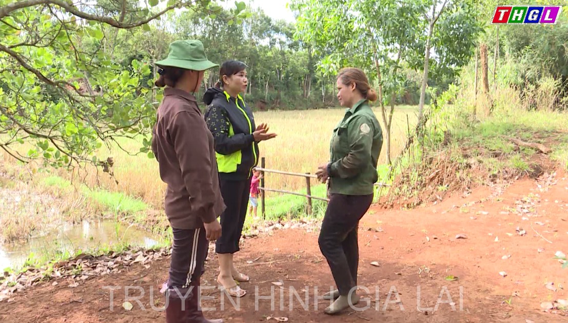 Nông hội: “Điểm tựa” của nông dân Ia Grai