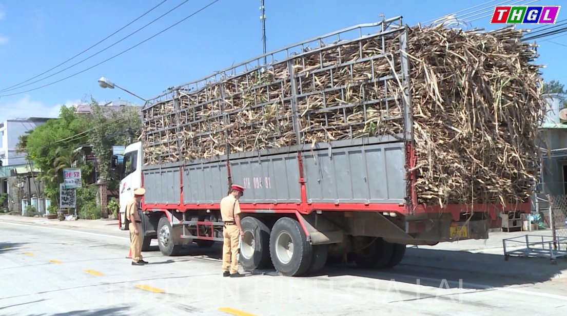 Quyết liệt xử lý xe chở mía quá khổ, quá tải
