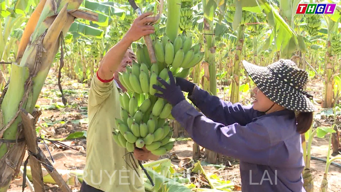 Ia Piơr phấn đấu về đích Nông thôn mới trong năm 2023