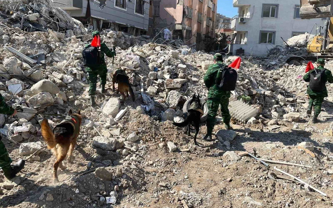 Việt Nam hỗ trợ khẩn cấp Thổ Nhĩ Kỳ và Syria mỗi nước 100.000 USD