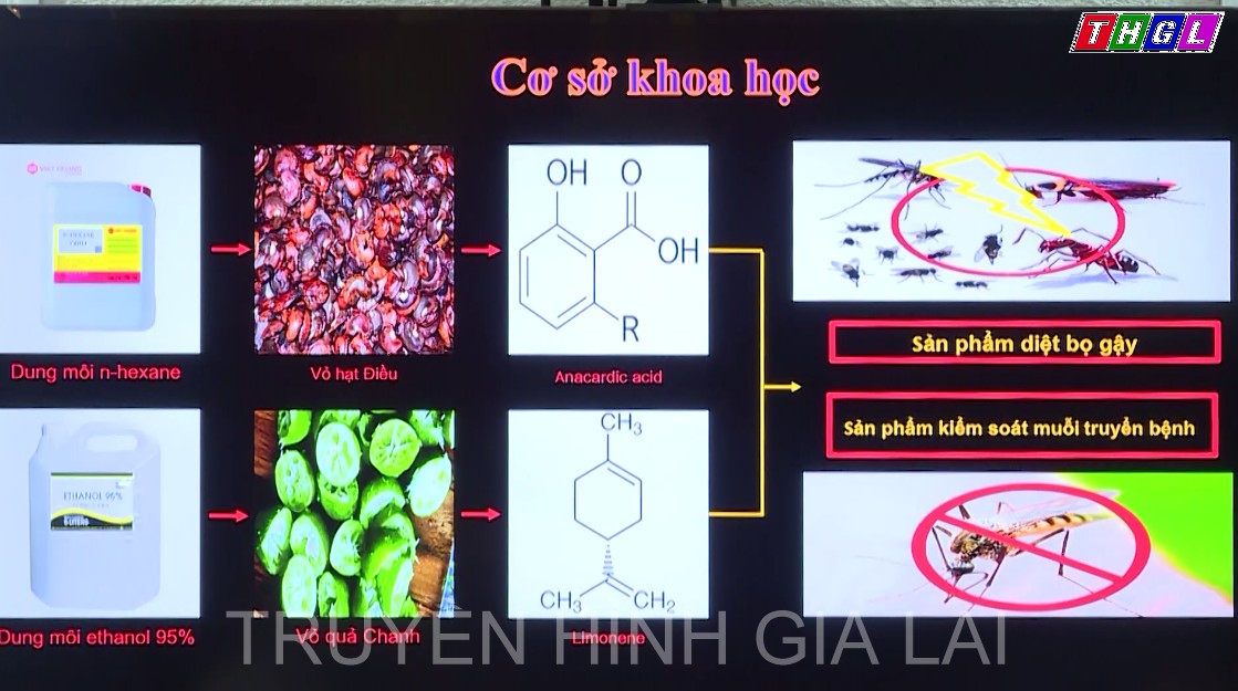 Gia Lai triển khai Kế hoạch Phát triển thị trường khoa học và công nghệ