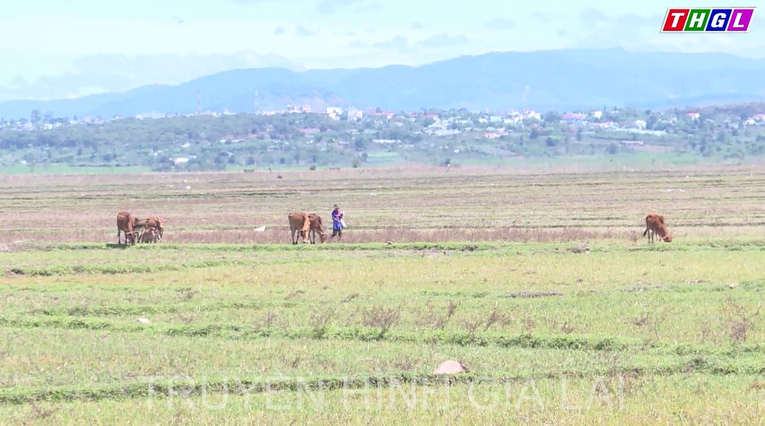 Gia Lai phấn đấu giảm 3% tỷ lệ hộ nghèo hằng năm trong giai đoạn 2022-2025 trong vùng đồng bào DTTS và miền núi