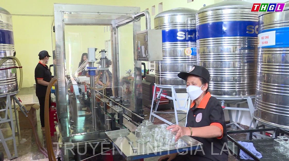 Ia Grai: Mô hình hợp tác xã kiểu mới gắn với chương trình mỗi xã một sản phẩm