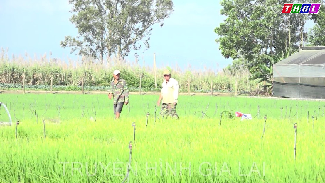 Thi đua lao động sản xuất ngay sau những ngày xuân