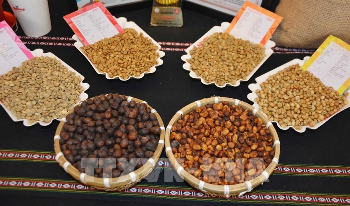 Điều chỉnh đăng ký xuất khẩu một số mặt hàng thực vật vào Trung Quốc