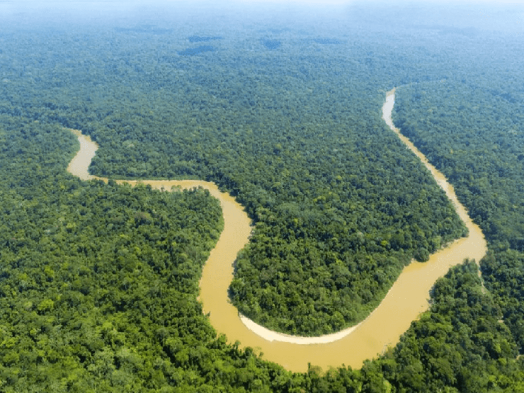 Rừng nhiệt đới Amazon là nơi đáng sợ như thế nào?