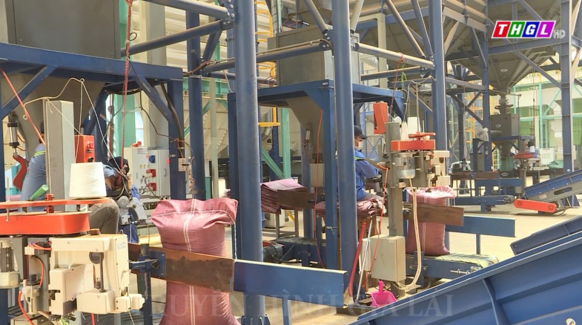 Cà phê Gia Lai tham gia chiến lược thương hiệu và tiếp thị sản phẩm mang chỉ dẫn địa lý Việt Nam