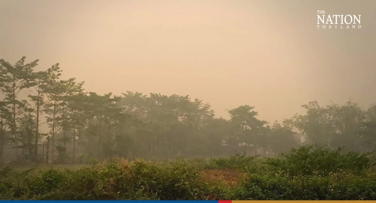 Thái Lan cân nhắc áp lệnh giới nghiêm ngăn cháy rừng lan rộng