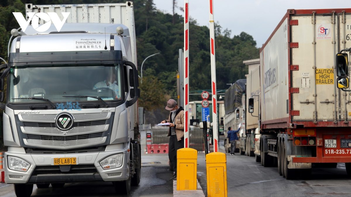 Xuất khẩu nông sản chính ngạch phù hợp với thị trường Trung Quốc