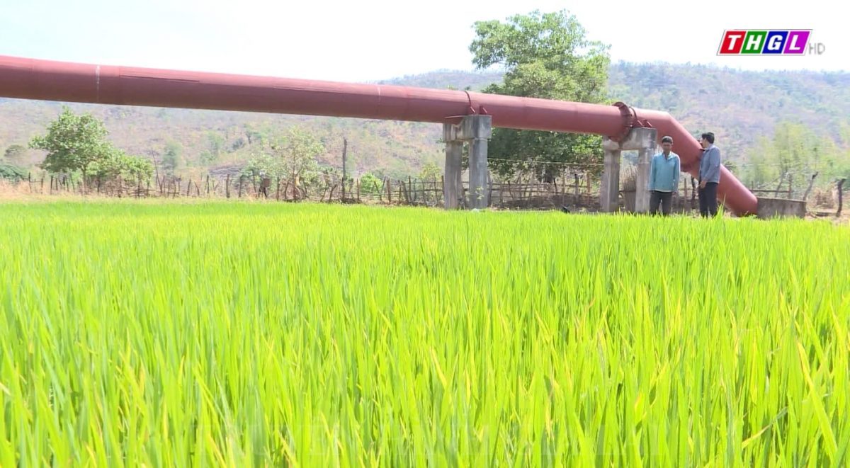 Huyện Chư Sê hiện có 56 công trình thủy lợi