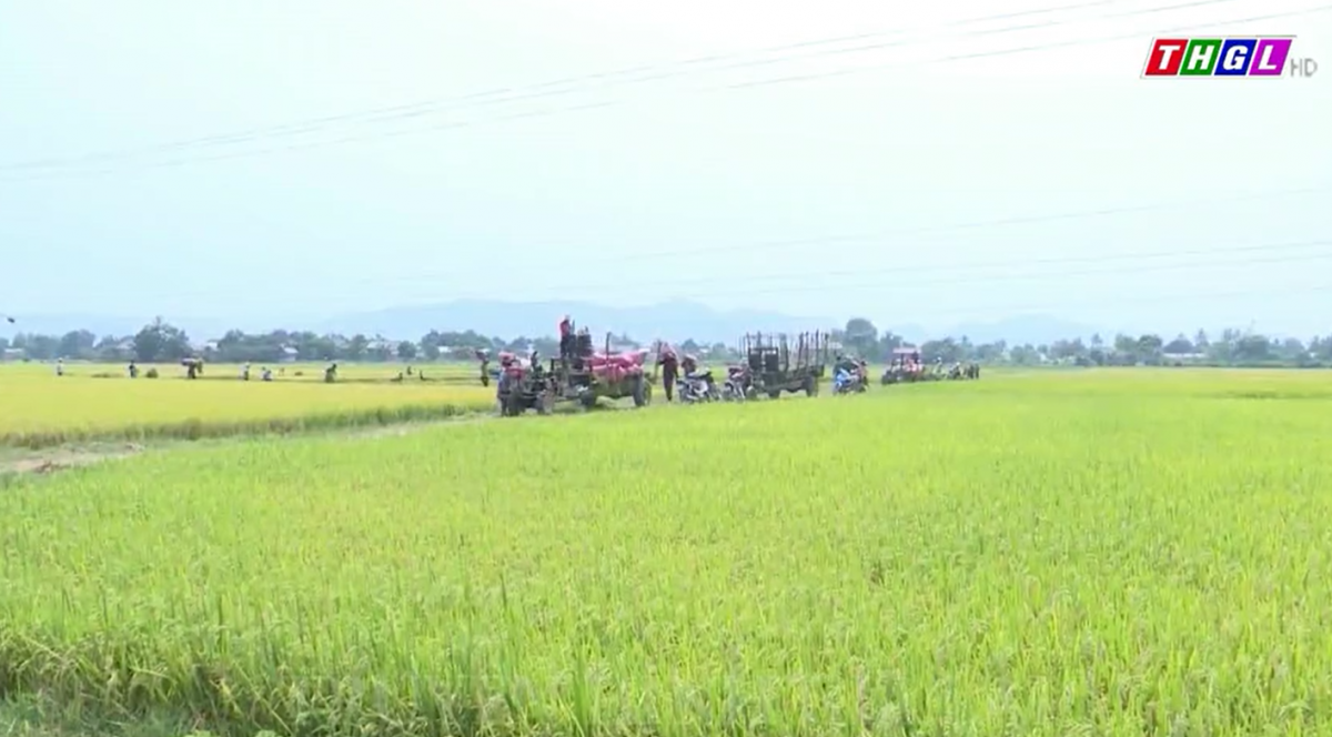 Đảng bộ Ia Pa đạt nhiều kết quả quan trọng qua 2 năm triển khai thực các chương trình, nhiệm vụ trọng tâm