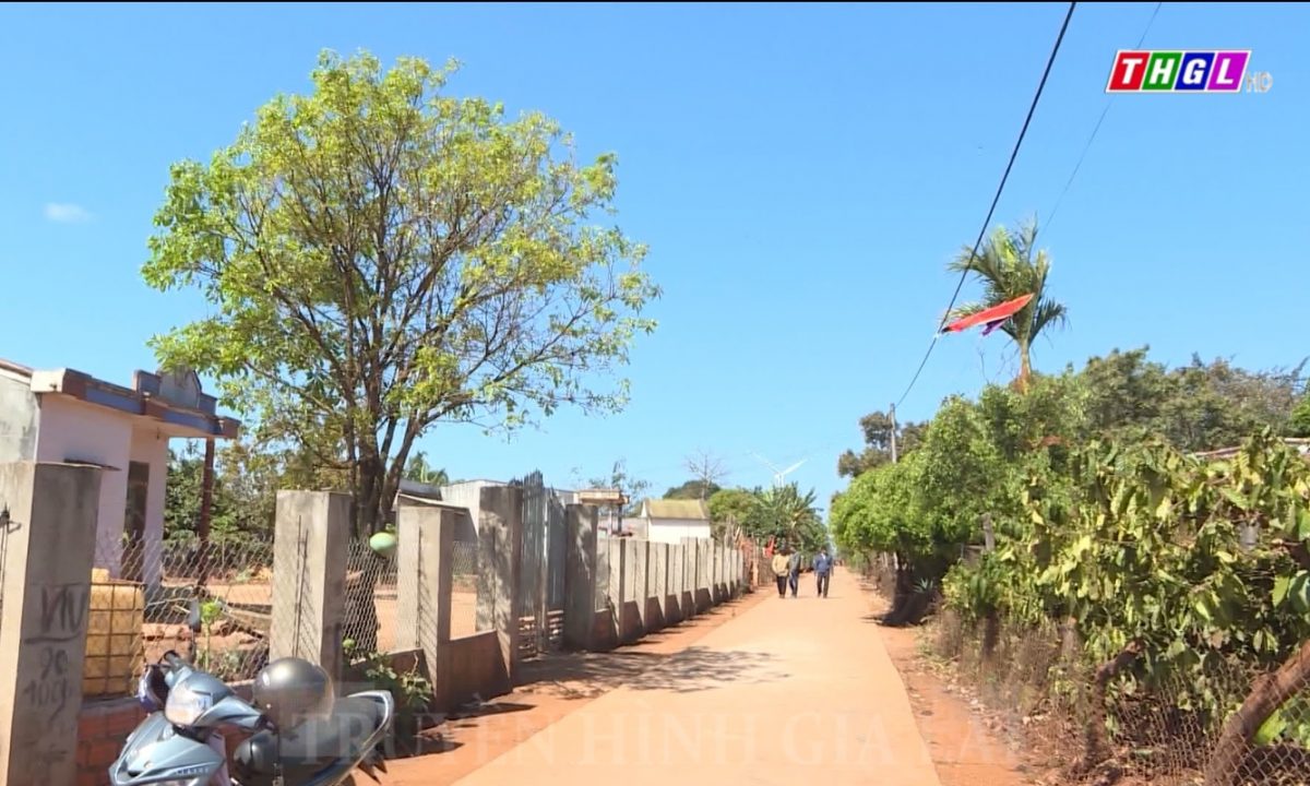 Sức sống mới từ con đường làng