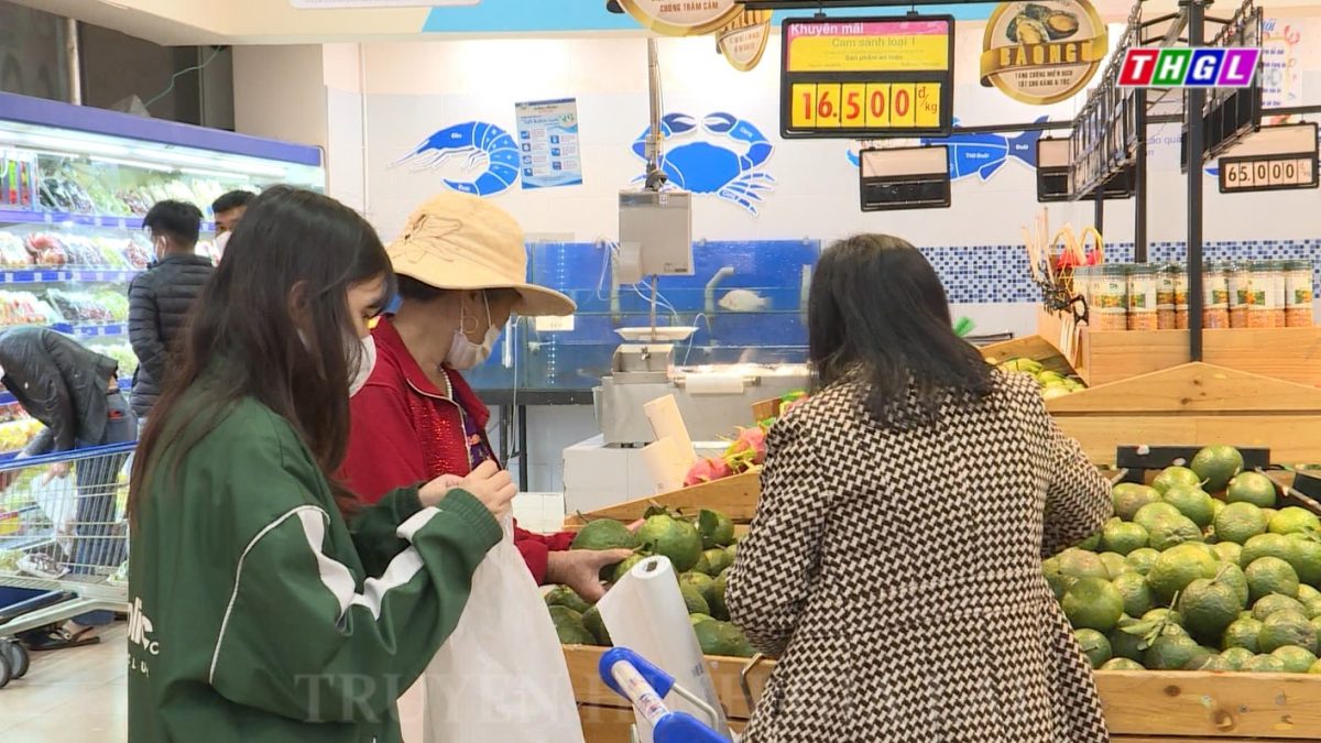 Gia Lai: Quý 1/2023, tổng mức bán lẻ hàng hóa và doanh thu dịch vụ tăng 31,89% so với cùng kỳ năm 2022