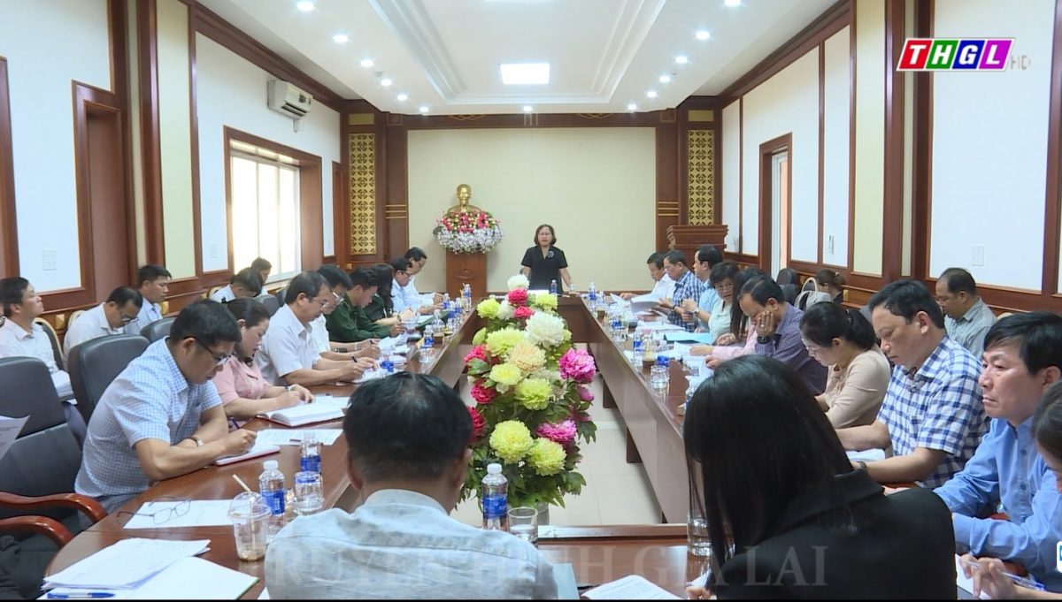 Giám sát tình hình thực hiện kêu gọi đầu tư của tỉnh Gia Lai trong giai đoạn 2018-2022 tại huyện Đức Cơ