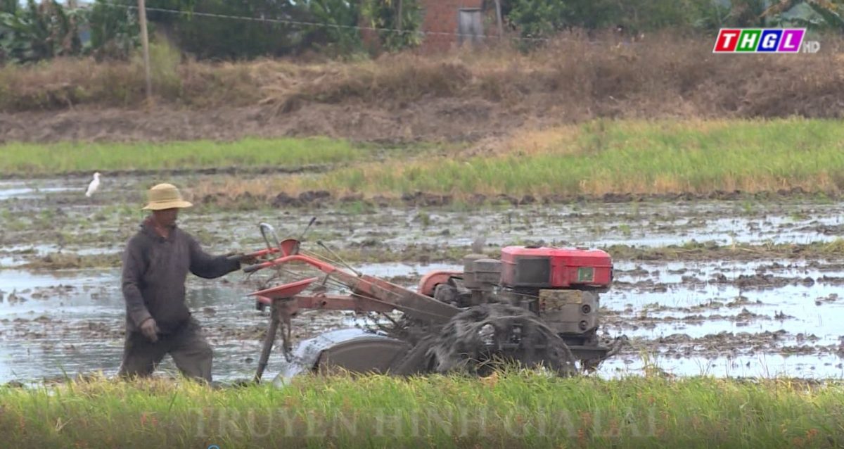 Hỗ trợ cơ giới hóa, ứng dụng công nghệ cao trong sản xuất nông nghiệp hiện đại