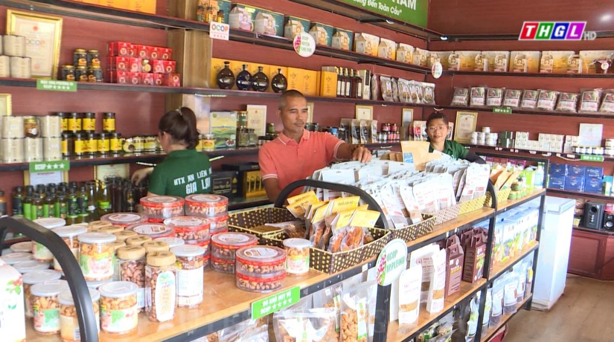 Hỗ trợ các doanh nghiệp, chủ thể đánh giá, phân hạng lại sản phẩm OCOP