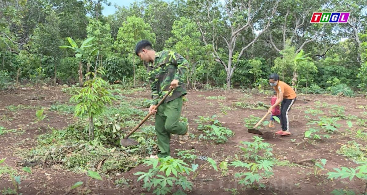 Huyện Ia Grai phấn đấu giảm 400 hộ nghèo dân tộc thiểu số trong năm 2023