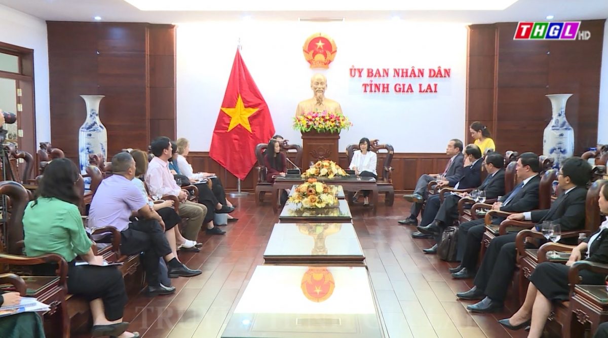 Lãnh đạo UBND tỉnh Gia Lai tiếp, làm việc với Đoàn chuyên gia của Quỹ Dân số Liên hợp quốc và Quỹ MSD for Mothers tại Việt Nam