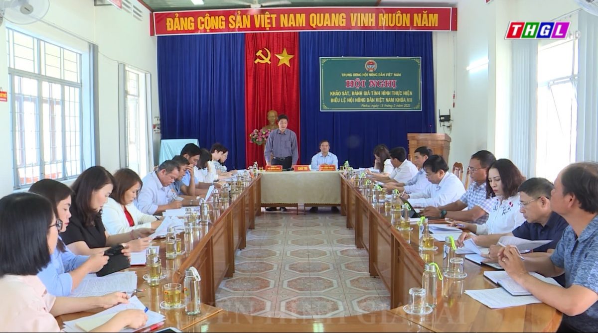 Trung ương Hội Nông dân Việt Nam khảo sát, đánh giá tình hình thực hiện Điều lệ Hội Nông dân Việt Nam khóa VII tại Gia Lai