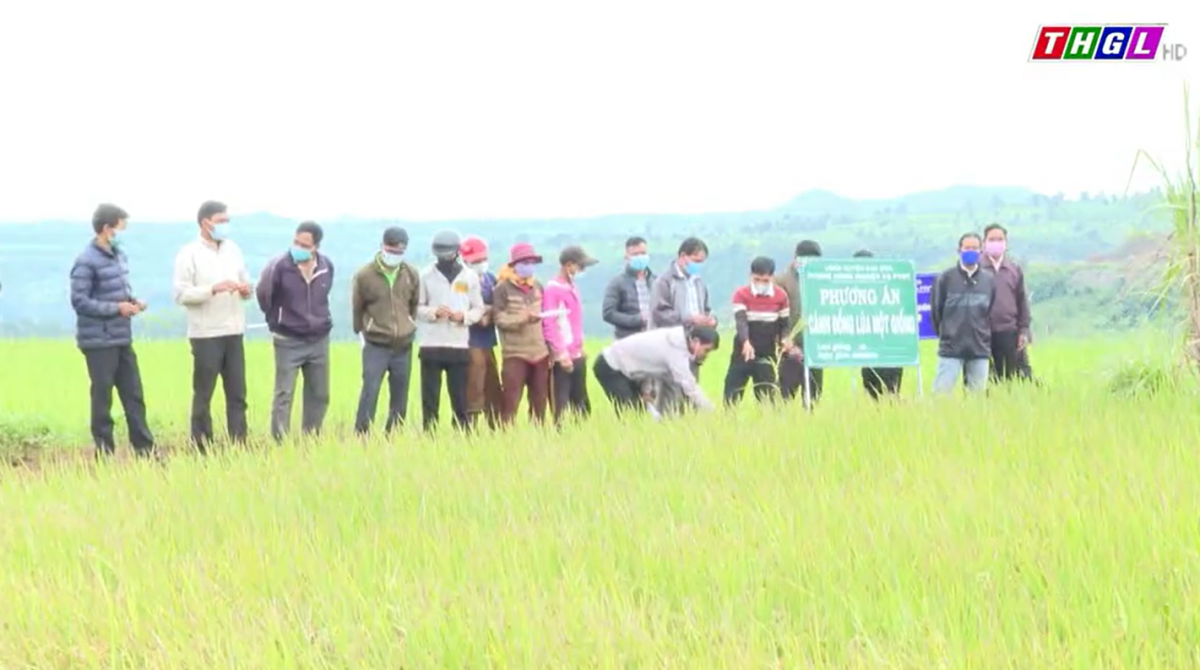 Nông dân xã Hnol thi đua sản xuất kinh doanh giỏi