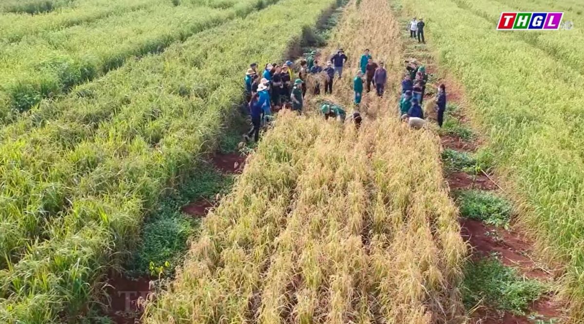 Vững vàng thế trận lòng dân nơi biên giới