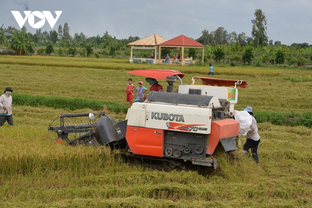 Xuất khẩu gạo hướng đến con số 7 triệu tấn đạt kim ngạch 4 tỷ USD