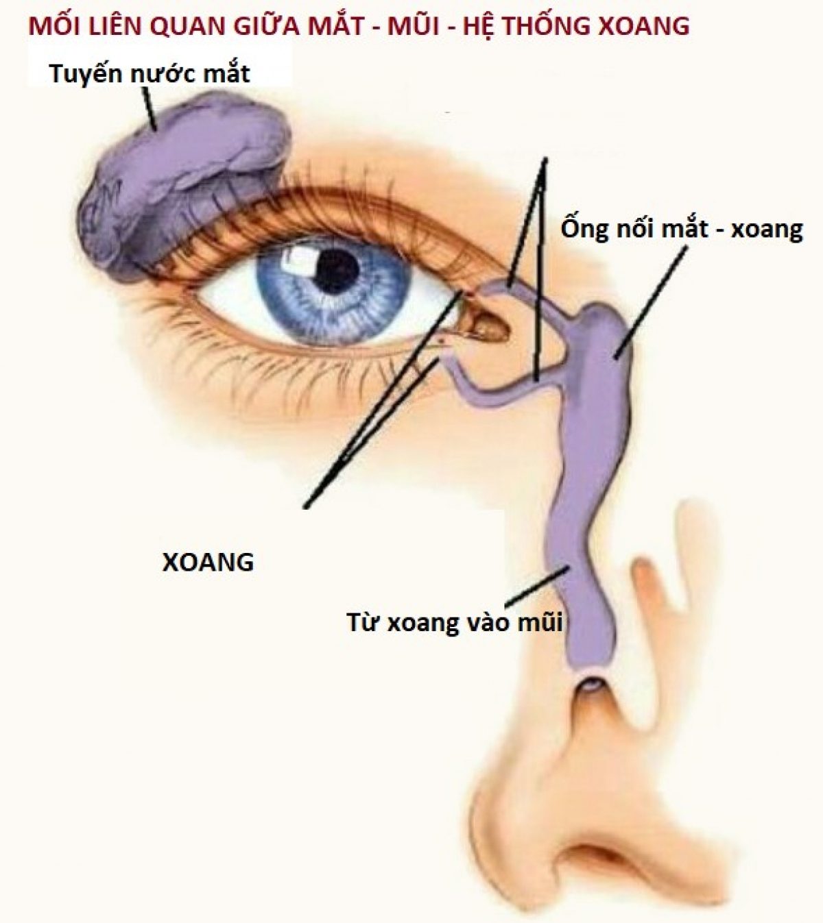 Bệnh mũi xoang có thể gây giảm thị lực!
