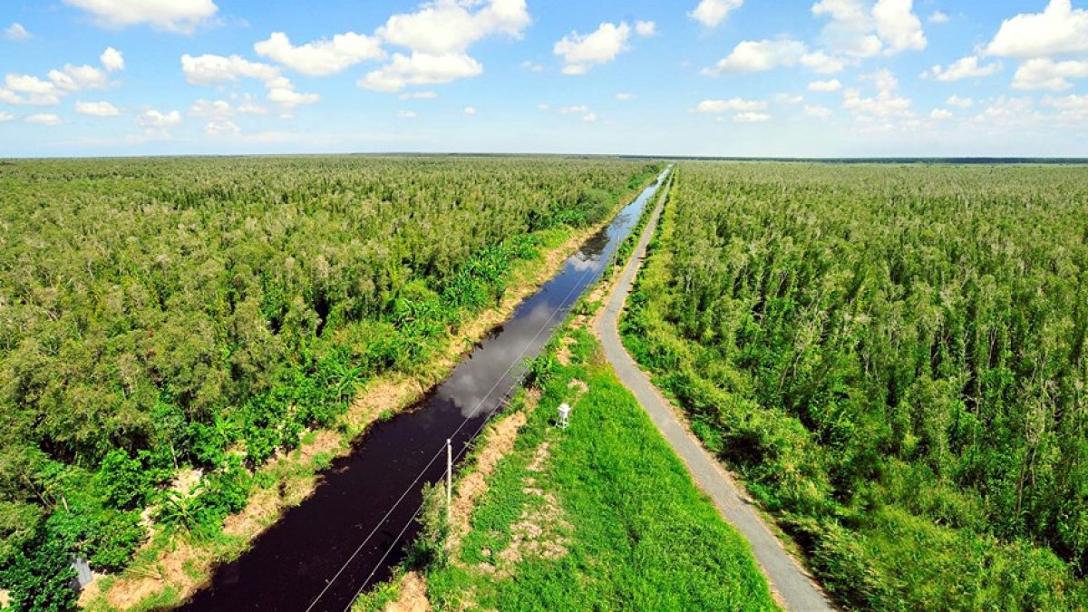 Thị trường carbon mở ra cơ hội nào cho Việt Nam?