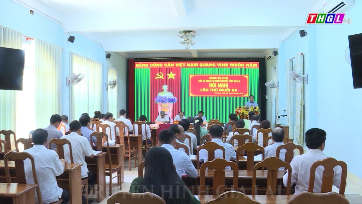 Hội nghị BCH Đảng bộ Khối các cơ quan và Doanh nghiệp tỉnh lần thứ 13, (khóa VIII)