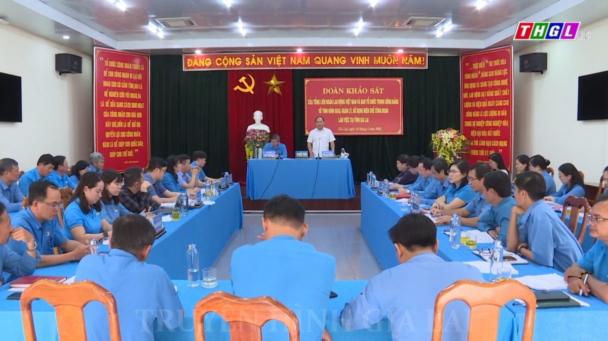 Đoàn khảo sát của Tổng Liên đoàn Lao động Việt Nam và Ban Tổ chức Trung ương làm việc tại tỉnh Gia Lai về tình hình giao, quản lý, sử dụng biên chế công đoàn